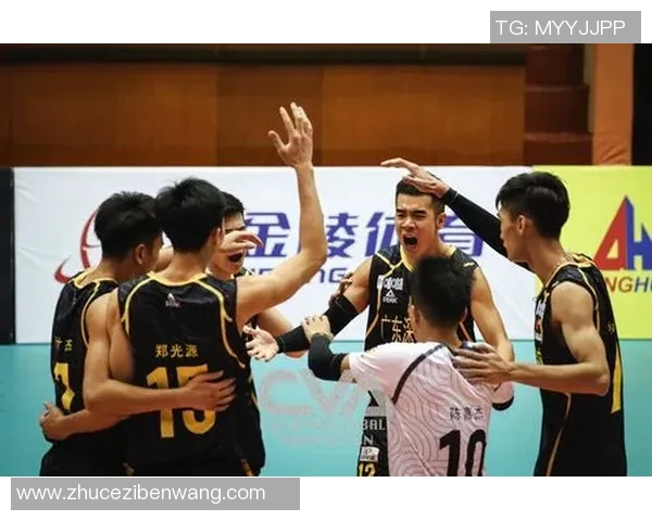 杨强独家分享排球技巧与心得助你提升竞技水平与团队配合能力